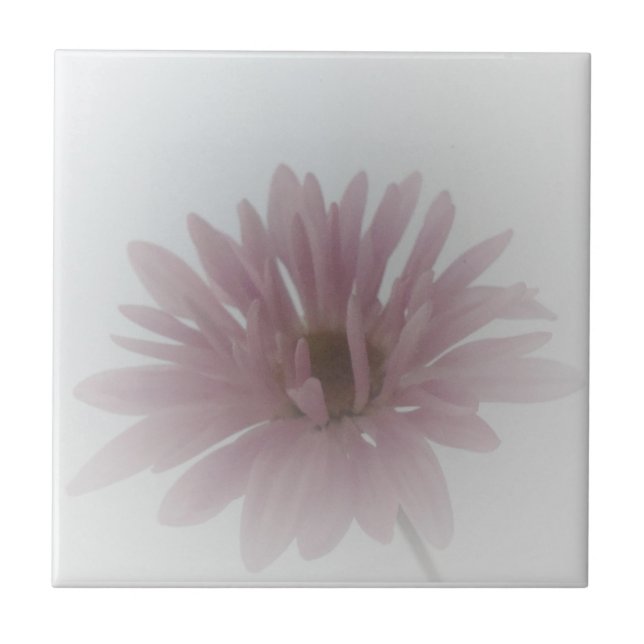 Azulejo Daisy Haze Tile (Frente)