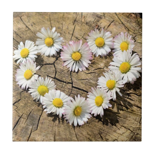 Azulejo Daisy Heart - Love - Add Your Text / Name (Frente)