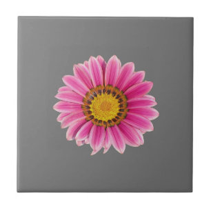 Azulejo Daisy In Pink
