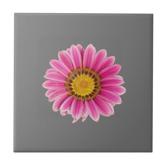 Azulejo Daisy In Pink (Frente)