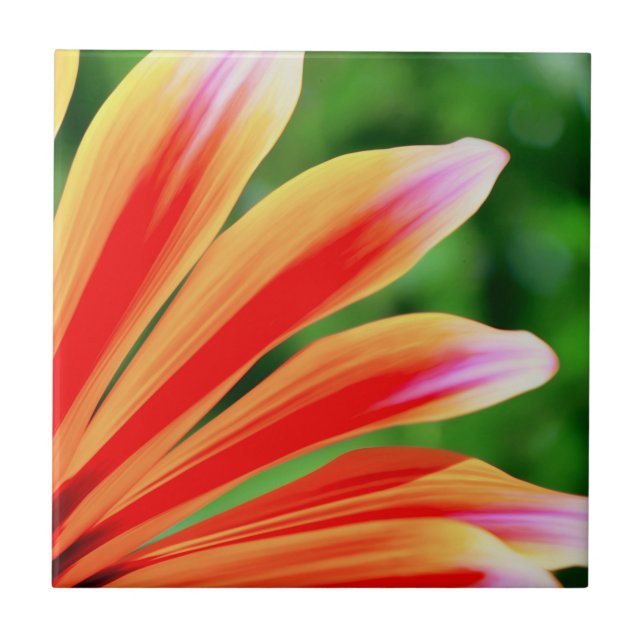 Azulejo Daisy Petals (Frente)