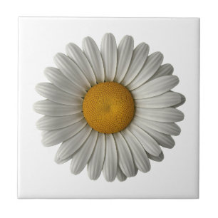 Azulejo Daisy realista sobre el diseño de fondo negro