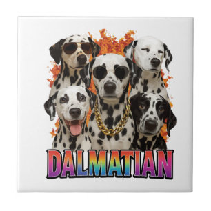 Azulejo Dálmata