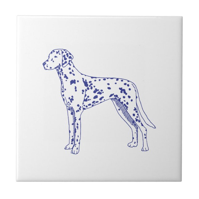 Azulejo Dalmatiner (Frente)