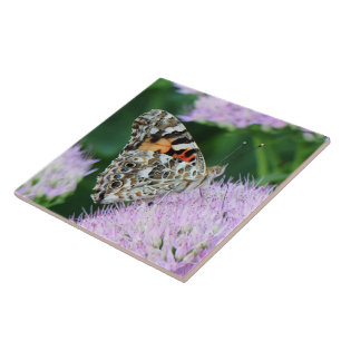 Azulejo Dama pintada de dulce