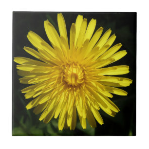 Azulejo Dandelion Tile
