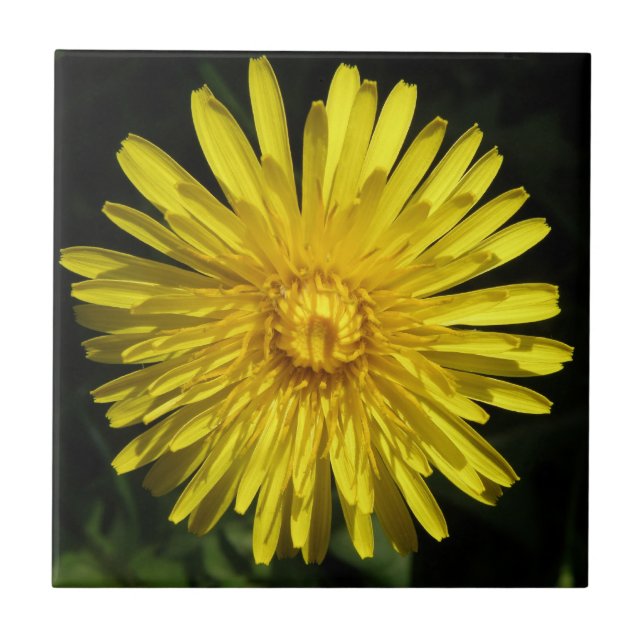Azulejo Dandelion Tile (Frente)