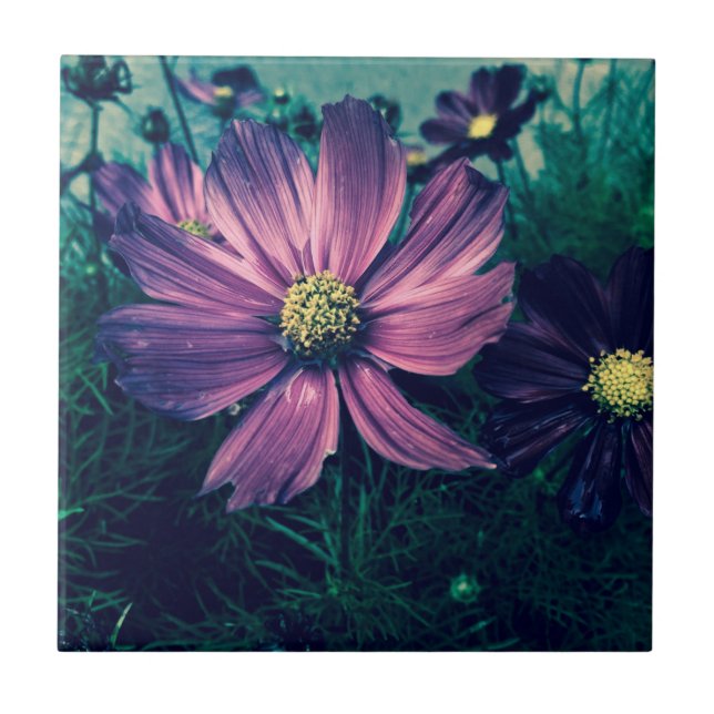 Azulejo Dark Purple Flowers Photo Art (Frente)