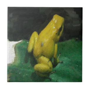 Azulejo Dart Frog/Phyllobates terribilis