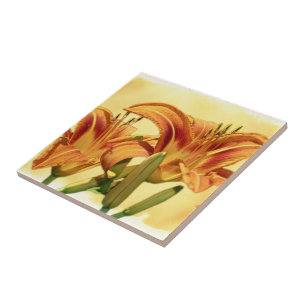 Azulejo Daylilies - Hemerocallis