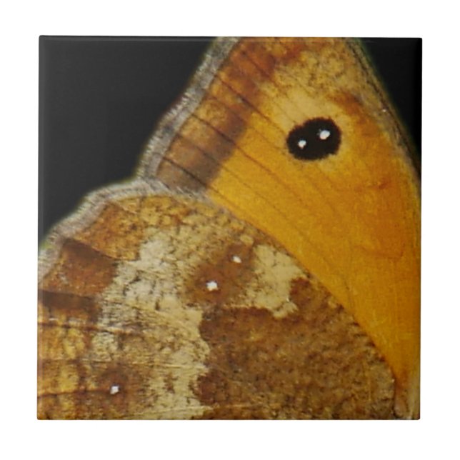 Azulejo de Ala de Mariposa (Frente)