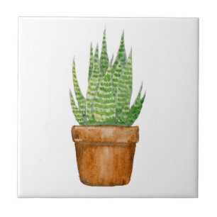 Azulejo de aloe vera en maceta