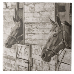 azulejo de caballos viejos y estables