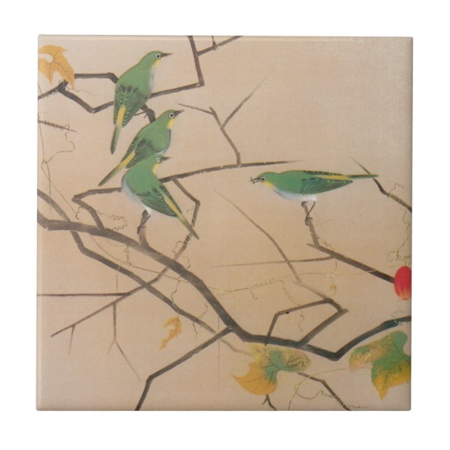 Azulejo De Cerámica メジロ, 速水御舟, Blanco-Ojo japonés, Gyoshū, arte de (Frente)