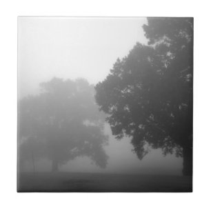 Azulejo De Cerámica 3.ᵉʳ árbol