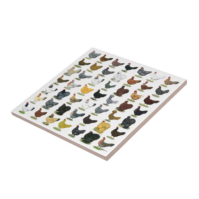 Azulejo De Cerámica 49 gallinas del pollo (Lado)