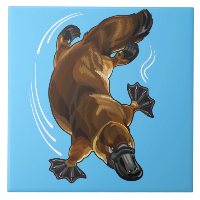 Azulejo De Cerámica 7.º plaqueta (Frente)