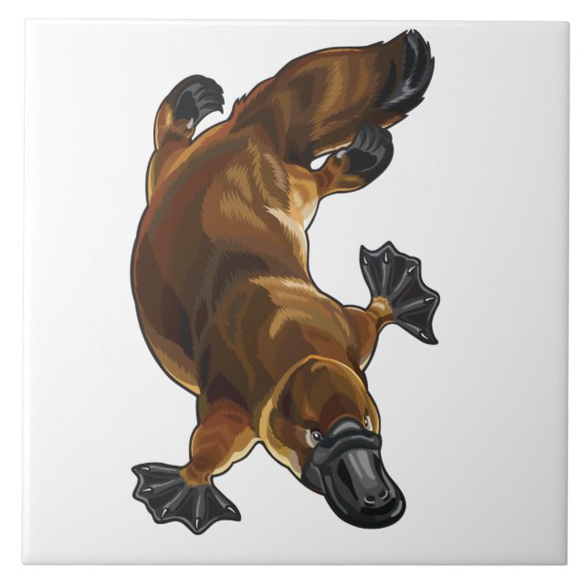 Azulejo De Cerámica 7.º plaqueta (Frente)