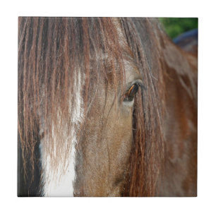 Azulejo De Cerámica 9.º adoración