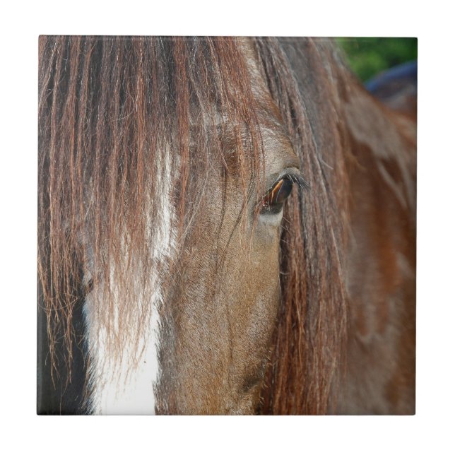 Azulejo De Cerámica 9.º adoración (Frente)
