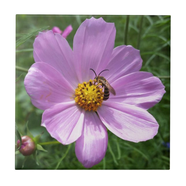 Azulejo De Cerámica abeja en flor (Frente)