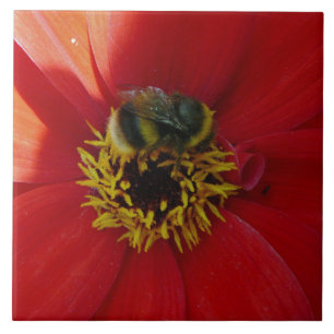 Azulejo De Cerámica Abeja sobre una cerámica de flores rojas
