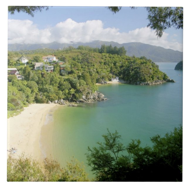 Azulejo De Cerámica Able Tasman NP, Nelson, Nueva Zelanda. Los muchos (Frente)