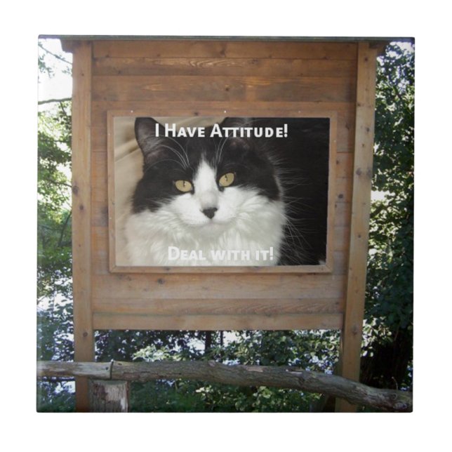 Azulejo De Cerámica Actitud del gato (Frente)