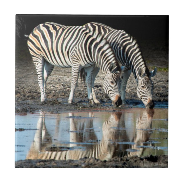 Azulejo De Cerámica África, Botswana, Delta Okavango, Campo Davison (Frente)