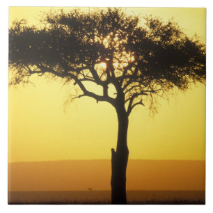 Azulejo De Cerámica África, Kenia, Reserva de caza Masai Mara, Ascendi
