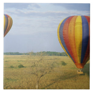 Azulejo De Cerámica África, Kenya, Reserva Nacional Masai Mara,