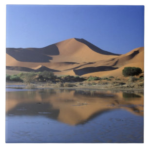 Azulejo De Cerámica África, Namibia, Parque Nacional Namib, Sossusvlei