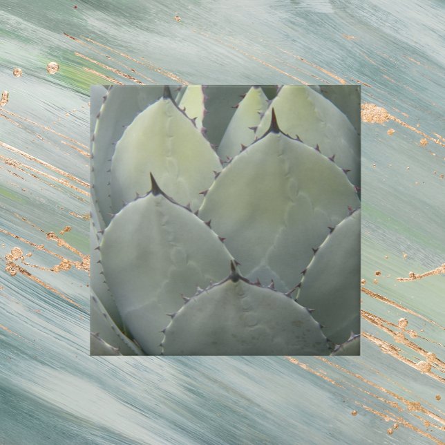 Azulejo De Cerámica Agave Cactus Plant Southwestern Style (In Situ)