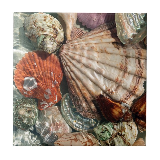 Azulejo De Cerámica Aguas marinas (Frente)