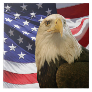 Azulejo De Cerámica Águila calva americana Decoración patriótica de la