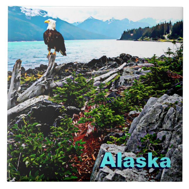 Azulejo De Cerámica Águila Calva En La Costa De Alaska (Frente)