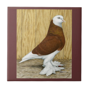 Azulejo De Cerámica Al oeste de Baldhead del rojo del vaso de