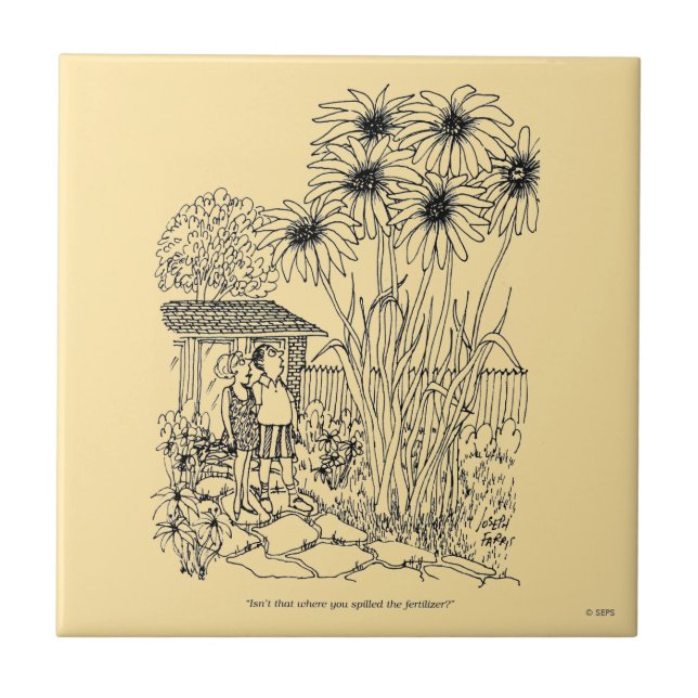 Azulejo De Cerámica Alimentador de pájaros vacío (Frente)