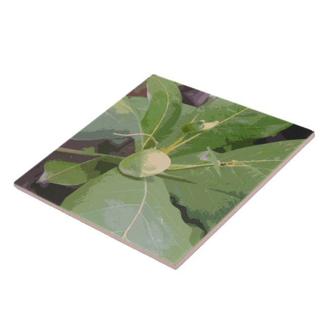 Azulejo De Cerámica Almendro Primer Plano (Lado)