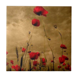 Azulejo De Cerámica Amapolas