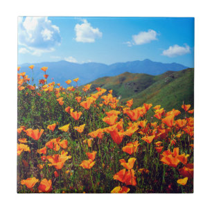 Azulejo De Cerámica Amapolas de California cubriendo una ladera