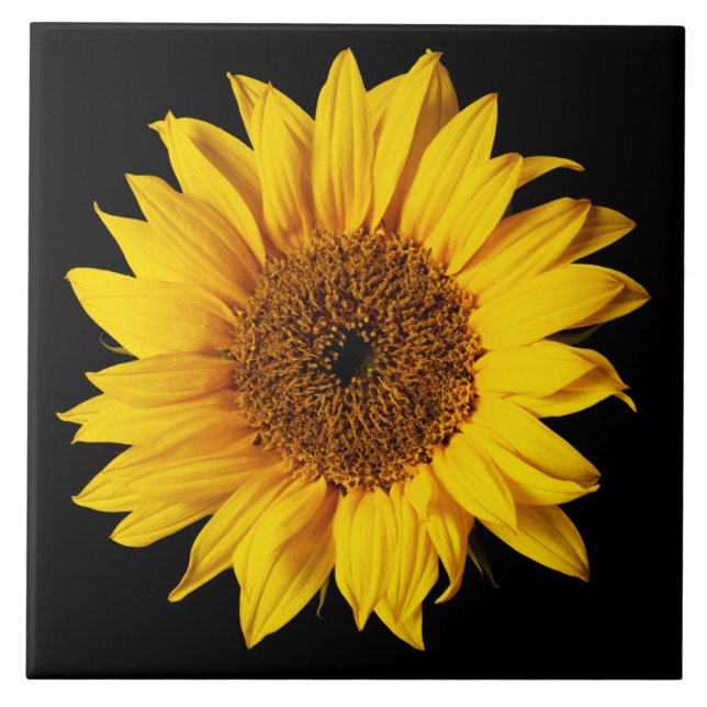 Azulejo De Cerámica Amarillo del girasol en el negro - flores (Frente)