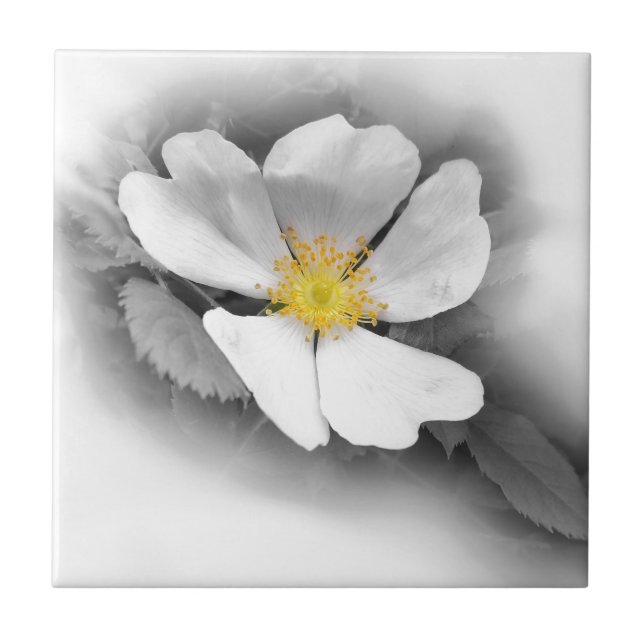 Azulejo De Cerámica amarillo en tonos grises (Frente)