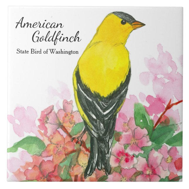 Azulejo De Cerámica Amarillo Goldfinch americano de recuerdo de Washin (Frente)
