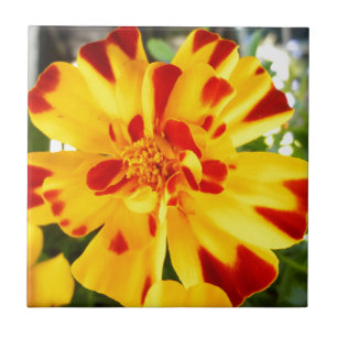 Azulejo De Cerámica Amarillo Marigold Con Rojo Fleces Amor De Flor De 