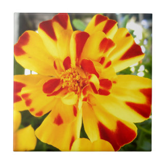Azulejo De Cerámica Amarillo Marigold Con Rojo Fleces Amor De Flor De 