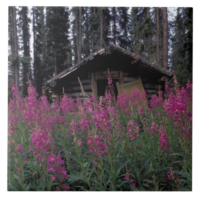 Azulejo De Cerámica América del Norte, Canadá, Yukón. Trapos abandonad (Frente)
