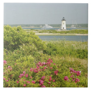 Azulejo De Cerámica América del Norte, EE.UU., Massachusetts, Martha's