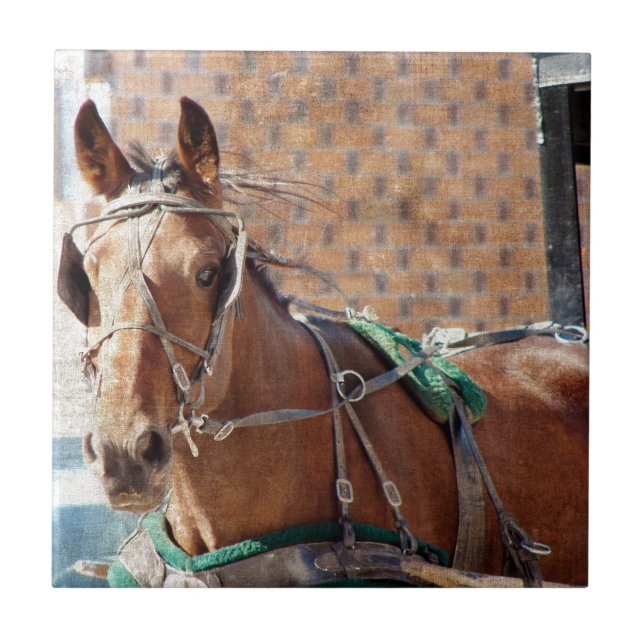 Azulejo De Cerámica Amish Horse (Frente)