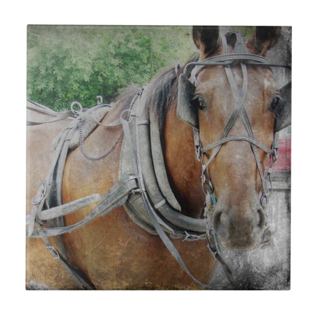 Azulejo De Cerámica Amish Horse and Buggy (Frente)
